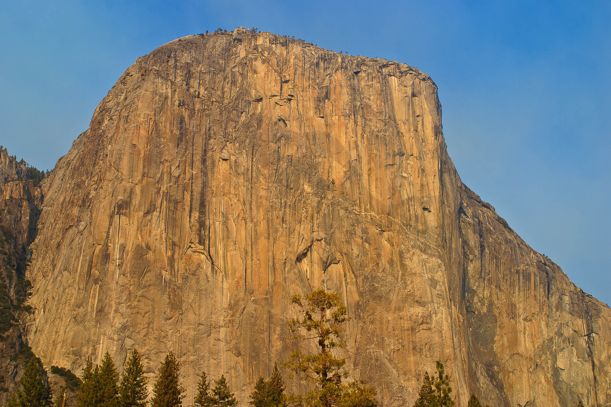 El Capitan at sunset